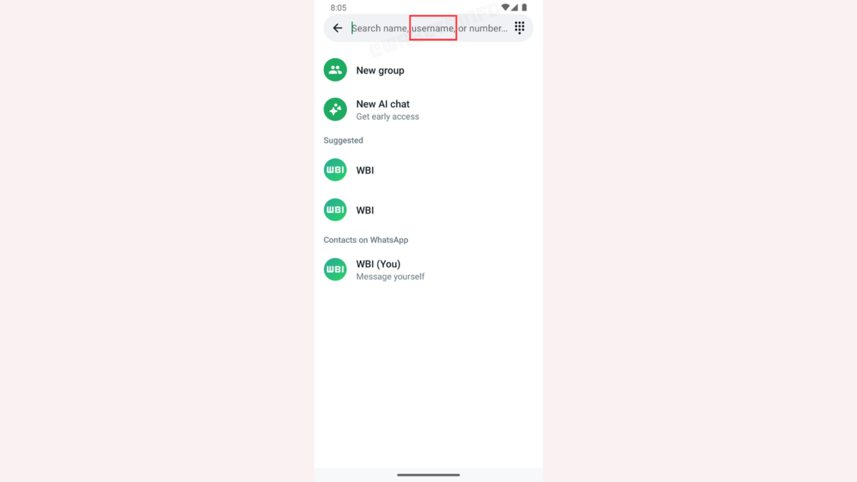 WhatsApp username feature screenshot
